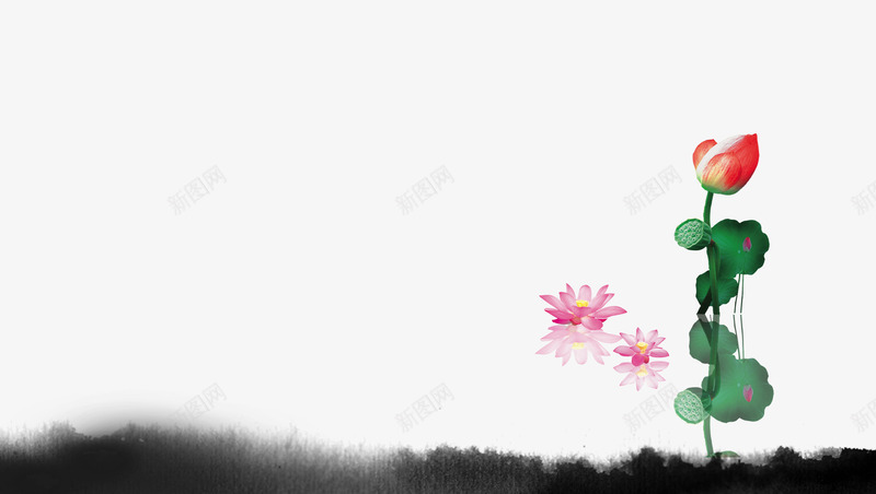 荷花png免抠素材_新图网 https://ixintu.com 倒影 水墨 荷叶 荷花