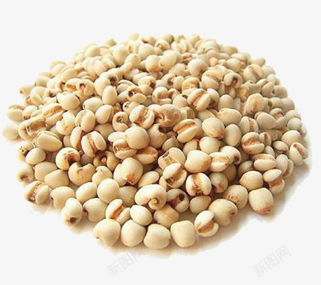 红豆食品png免抠素材_新图网 https://ixintu.com 五谷杂粮豆豆 健康 食品