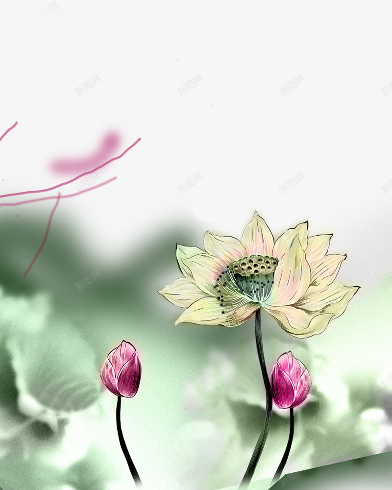 荷花水墨装饰png免抠素材_新图网 https://ixintu.com 水墨素材 荷花素材 装饰素材 设计素材