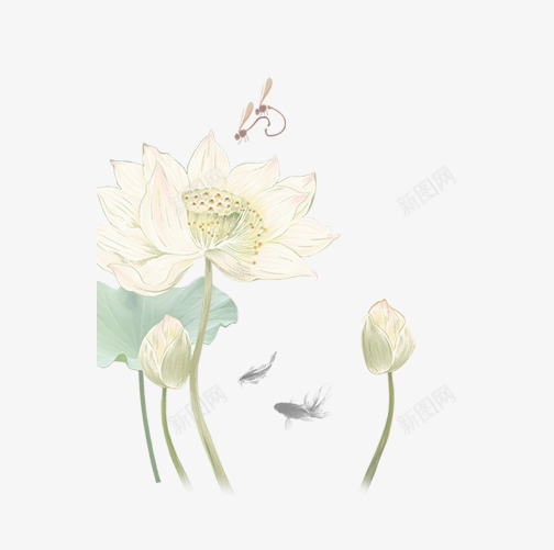飞舞在荷花上的小蜻蜓png免抠素材_新图网 https://ixintu.com 叶子 小蜻蜓 花苞 花骨朵 荷叶 荷花