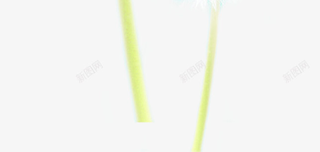 春天护肤白色蒲公英png免抠素材_新图网 https://ixintu.com 春天 白色 蒲公英