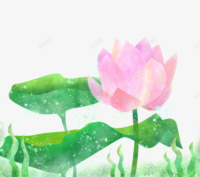 简约小清新文艺荷花插画psd免抠素材_新图网 https://ixintu.com 唯美 夏季 小清新 插画 简约 绿色 节气 荷花