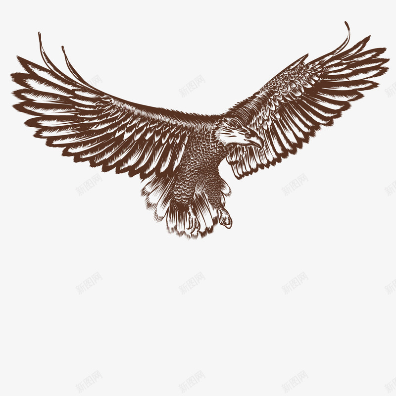 翱翔老鹰png免抠素材_新图网 https://ixintu.com 天空 铅画 飞行 黑色