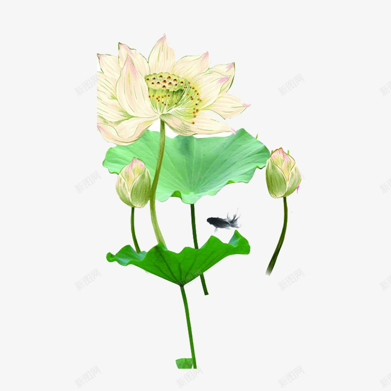 水墨画效果的荷花荷叶鱼psd免抠素材_新图网 https://ixintu.com 池塘 竹子荷花荷叶满池塘 荷叶 荷花 鱼