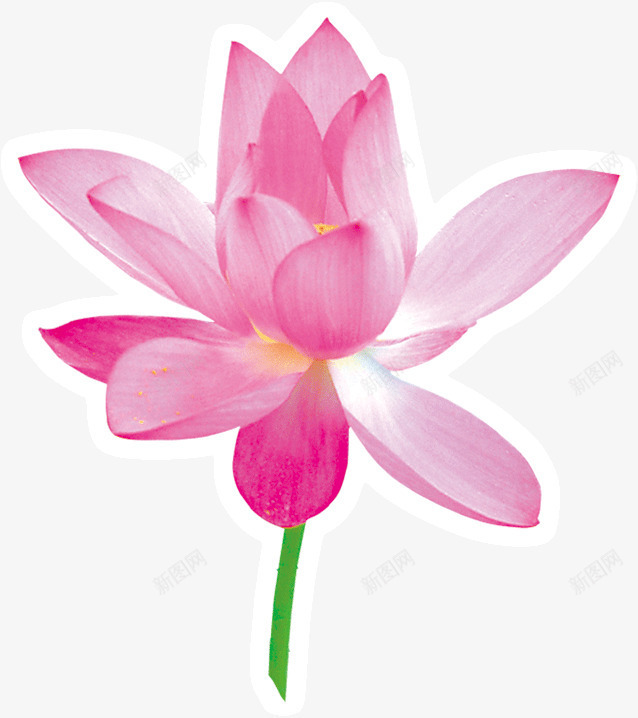 国画中的荷花png免抠素材_新图网 https://ixintu.com 国画 荷花