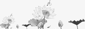 国画画风的荷花png免抠素材_新图网 https://ixintu.com 国画 水墨 画风 荷花