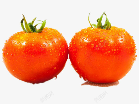 新鲜西红柿png免抠素材_新图网 https://ixintu.com 果蔬 水果 水珠 水花 蔬菜