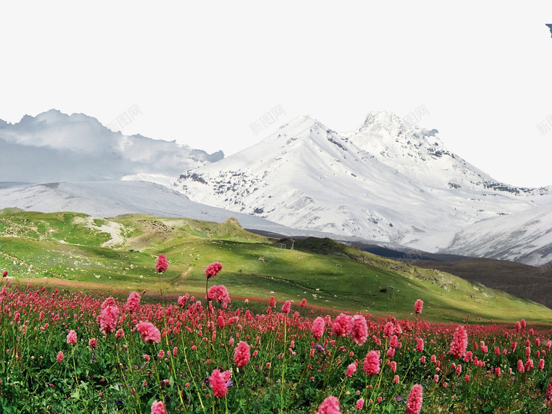 美丽红色鲜花景色png免抠素材_新图网 https://ixintu.com 景色 河流 瀑布 石头 美景 雪山 雪山瀑布
