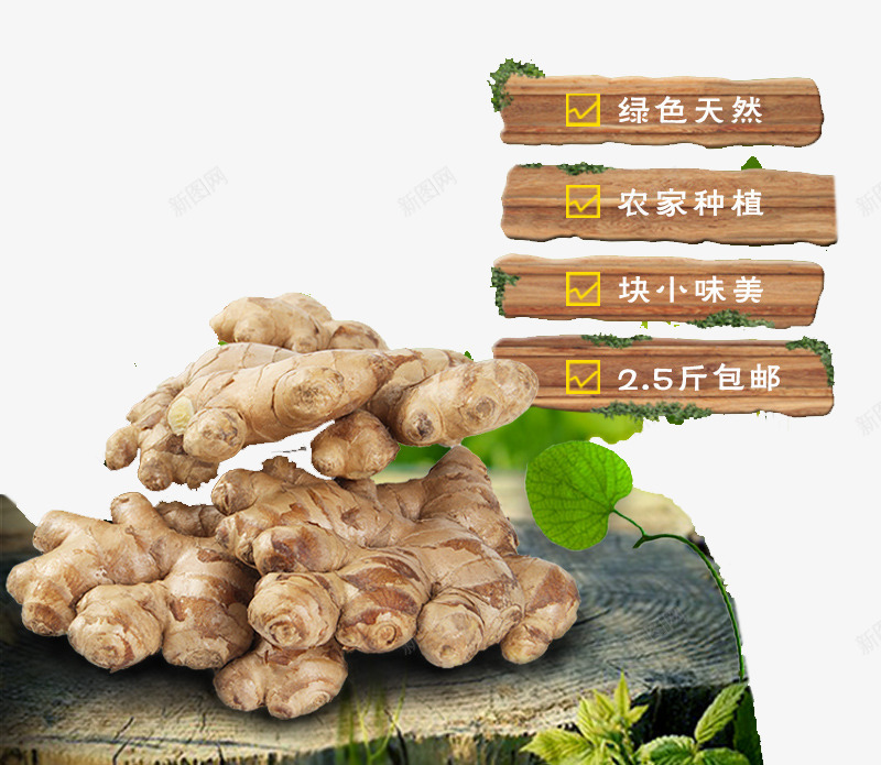 石头上的生姜png免抠素材_新图网 https://ixintu.com 中药 生姜 老姜