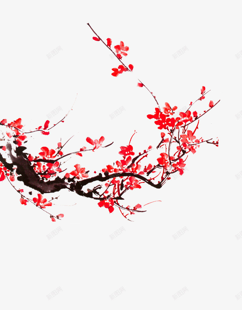 边角梅花装饰psd免抠素材_新图网 https://ixintu.com 梅花 花边 装饰 边角