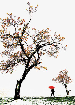 中国风梅花插画png免抠素材_新图网 https://ixintu.com 国风 插画 梅花 素材