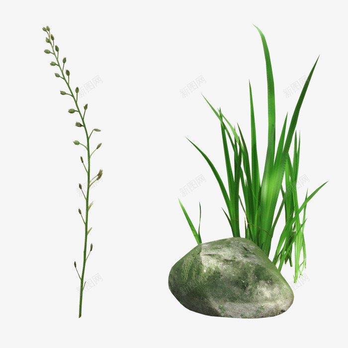 绿色小草石头装饰图案png免抠素材_新图网 https://ixintu.com 免抠PNG 小草 石头 石缝中的小草 绿色 装饰图案
