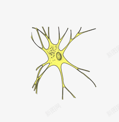 单细胞生物细胞图png免抠素材_新图网 https://ixintu.com 单细胞 教育 生物 细胞图