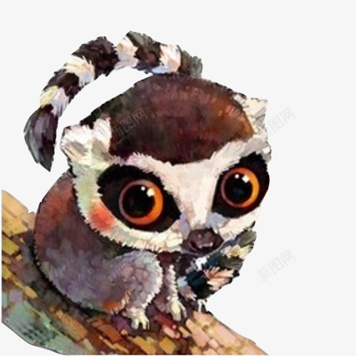 狐尾猴手绘片png免抠素材_新图网 https://ixintu.com 保护动物 大眼猴 大眼睛 斑马条纹尾巴 水彩手绘 狐尾猴 猴子