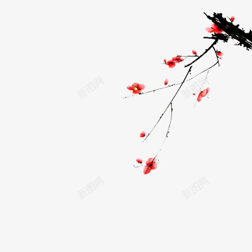 墨色梅花红色花朵png免抠素材_新图网 https://ixintu.com 墨色 梅花 红色 花朵