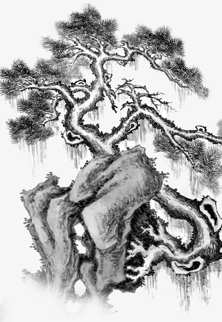 国画png免抠素材_新图网 https://ixintu.com 松树 水墨画 石头