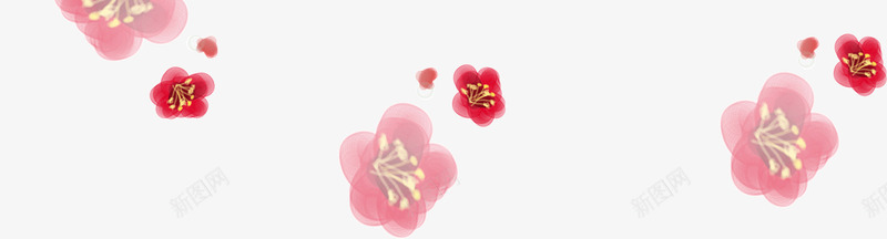 梅花png免抠素材_新图网 https://ixintu.com 冬季 冬梅 梅花 梅花装饰
