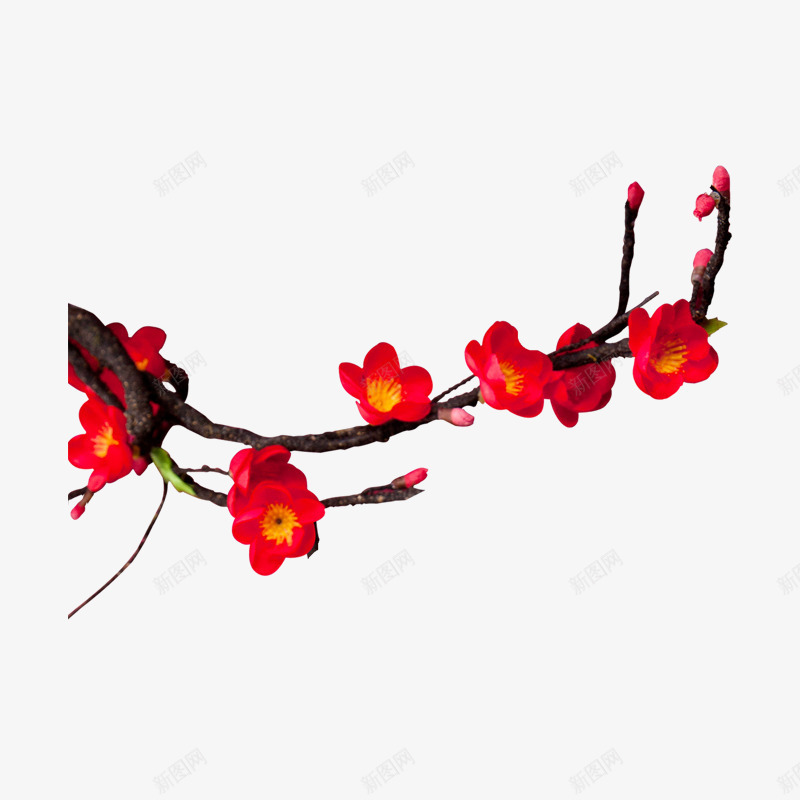 中国风国画水墨梅花png免抠素材_新图网 https://ixintu.com 中国风 国画 国画梅花 梅花 水墨 水墨梅花