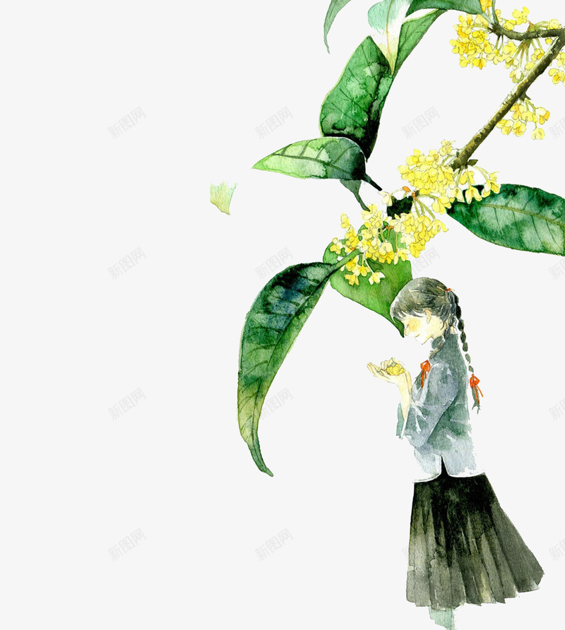 中秋节桂花psd免抠素材_新图网 https://ixintu.com PSD免抠 中秋节 免抠 分层免抠 大图免抠 手绘 桂花插画 高清大图