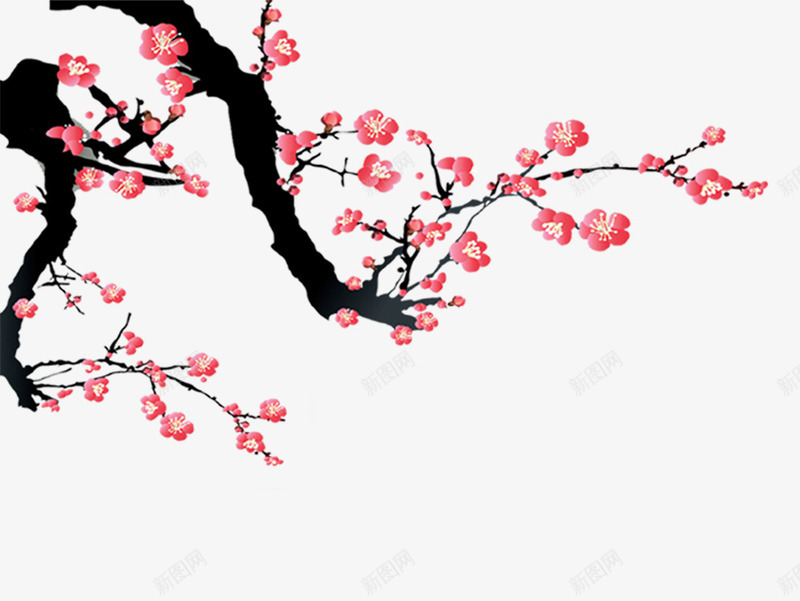 梅花淘宝花朵花psd免抠素材_新图网 https://ixintu.com 梅花淘宝素材花朵花