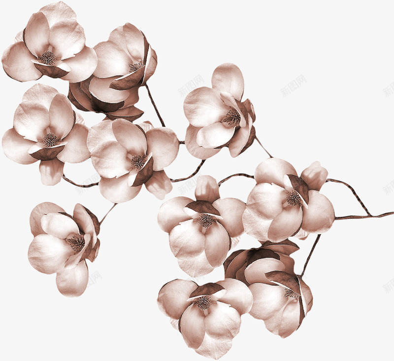 布艺插花梅花png免抠素材_新图网 https://ixintu.com 布艺 插花 梅花 梅花素材