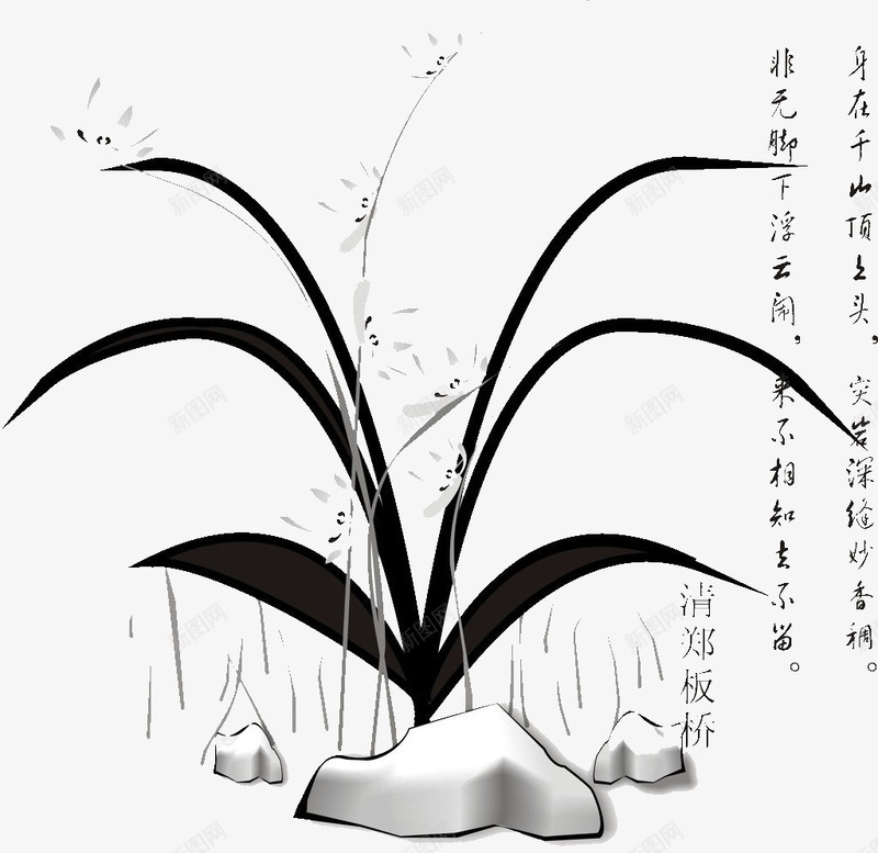 杂草png免抠素材_新图网 https://ixintu.com 小草 杂草 石头 黑色