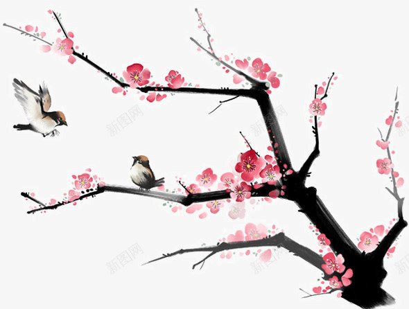 喜鹊梅花主页装修png免抠素材_新图网 https://ixintu.com 主页 喜鹊 梅花 装修