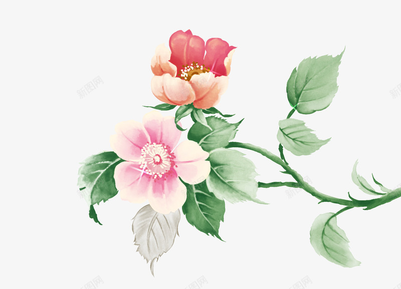一枝梅花png免抠素材_新图网 https://ixintu.com 中国风 梅花 水彩 花朵