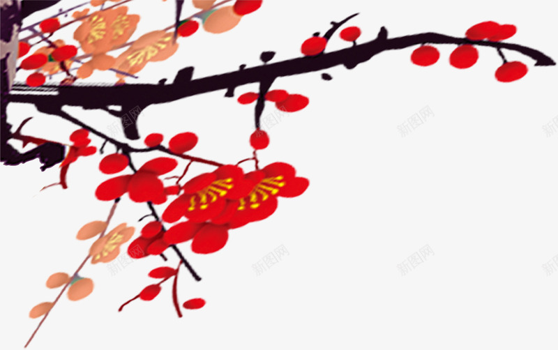 国画梅花图案png免抠素材_新图网 https://ixintu.com 中国元素 国画 梅花 红梅 腊梅