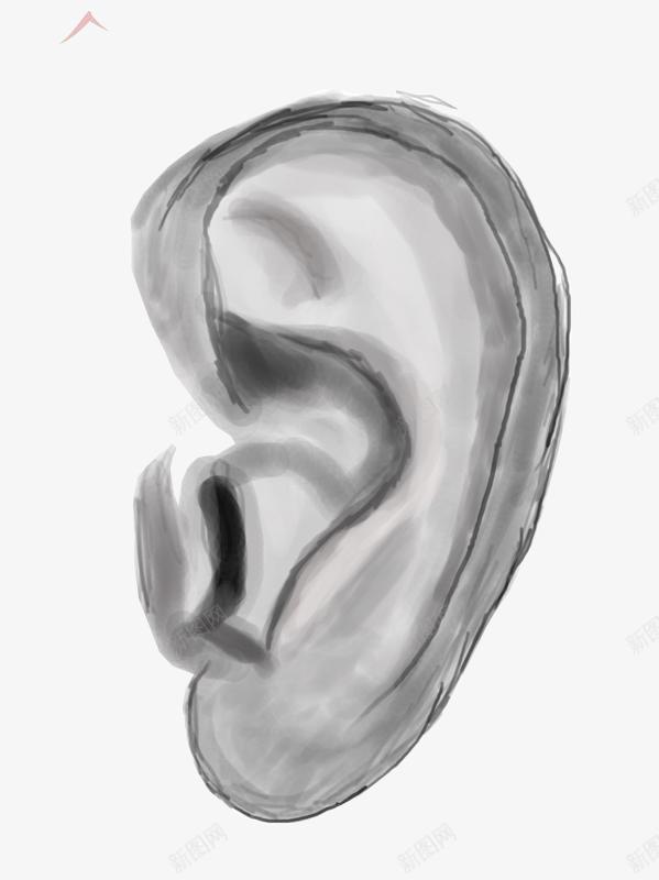 素描左耳png免抠素材_新图网 https://ixintu.com 互联网教育 左耳 手绘 素描 聆听