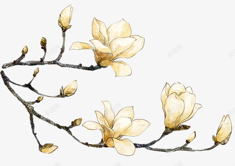手绘简笔画装饰花朵psd免抠素材_新图网 https://ixintu.com 手绘 手绘简笔画装饰花朵 简笔画 简笔画梅花 花朵 装饰