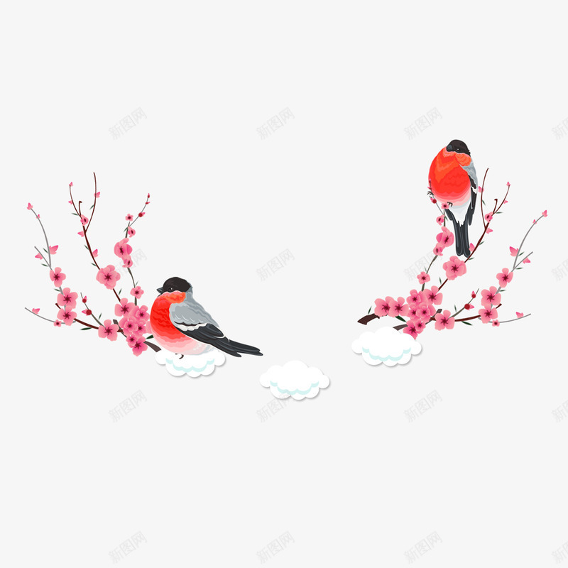 梅花上的鸟psd免抠素材_新图网 https://ixintu.com 动物 梅花 植物 鸟