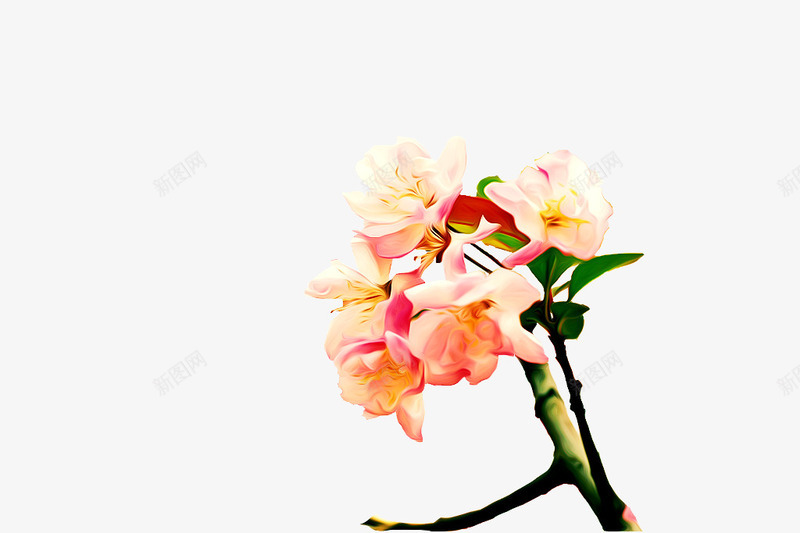 牡丹花油画png免抠素材_新图网 https://ixintu.com 手绘鲜花 抽象鲜 植物花卉素材 油画 牡丹花 花 花束