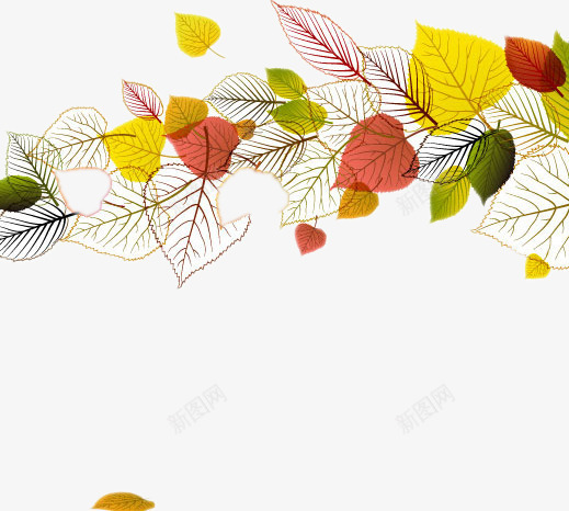手绘叶子背景图png免抠素材_新图网 https://ixintu.com 叶子图 彩绘图 心形叶子 落叶