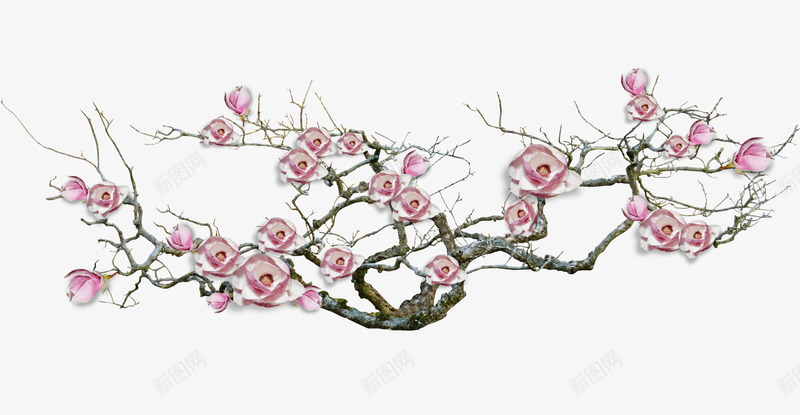 梅花png免抠素材_新图网 https://ixintu.com 中国画 中国风梅花树 手绘 插画 水彩