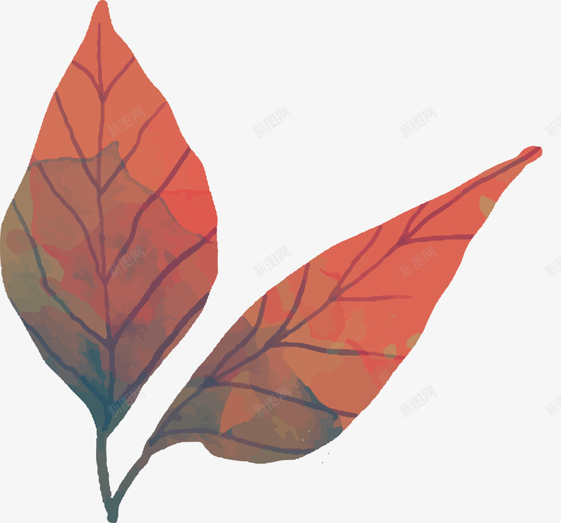 秋季落叶矢量图ai免抠素材_新图网 https://ixintu.com 创意 叶片 秋季 秋季落叶 精美 落叶设计 矢量图
