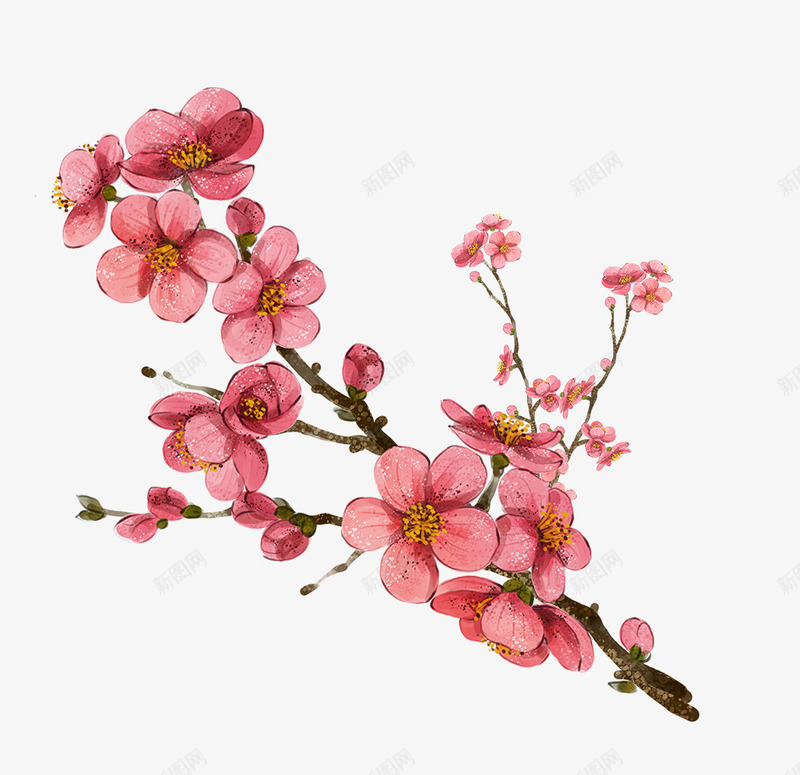 手绘梅花装饰psd免抠素材_新图网 https://ixintu.com 小清新 手绘叶子 手绘画 手绘花朵 手绘花束 手绘花草 梅花装饰 田园风 花朵装饰