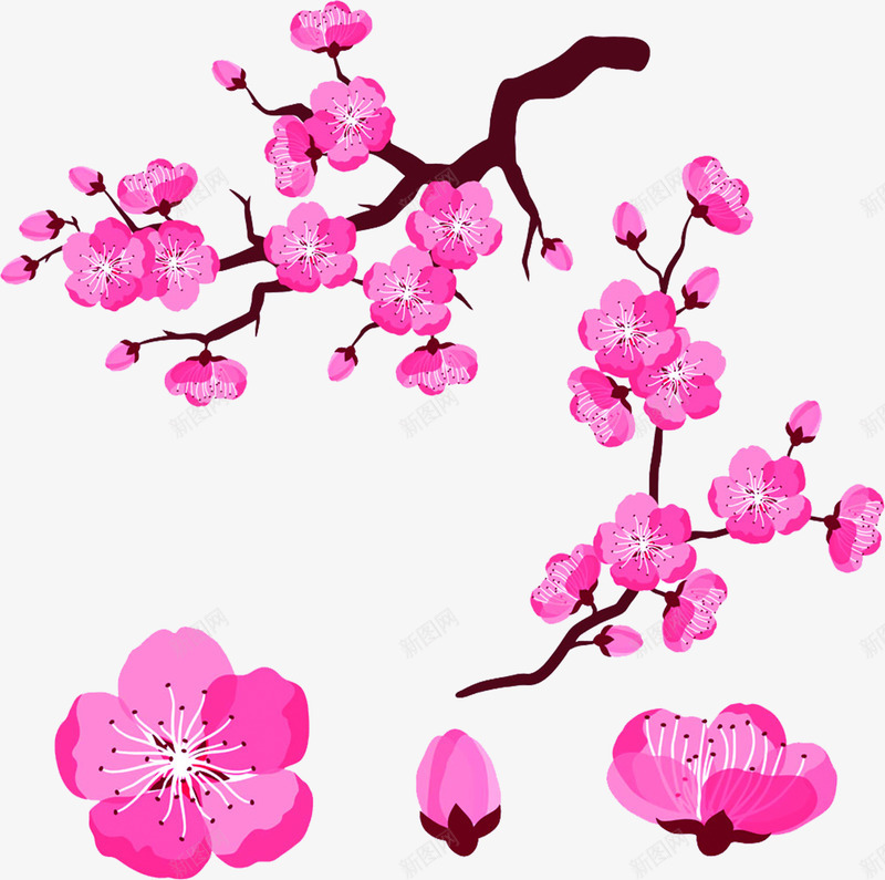粉色卡通梅花美景png免抠素材_新图网 https://ixintu.com 卡通 梅花 粉色 美景