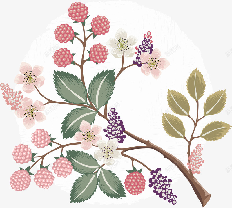 多彩美丽花枝png免抠素材_新图网 https://ixintu.com 多彩花枝 彩色枝条 枝条 植物 美丽花枝 装饰图案