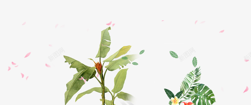 绿色手绘棕树插画psd免抠素材_新图网 https://ixintu.com 叶子 插画 春季 树 棕树 热带 绿色 花瓣 落叶
