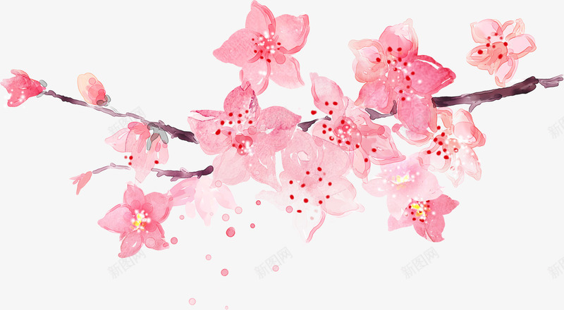 绘画粉色梅花画报png免抠素材_新图网 https://ixintu.com 梅花 画报 粉色 绘画