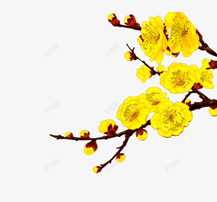 金色梅花png免抠素材_新图网 https://ixintu.com 梅花 花 金色花