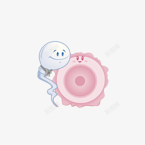 卡通精子和卵子相遇png免抠素材_新图网 https://ixintu.com 卡通 卵子 受精 受精卵 性教育 插画 漫画 生殖 精子