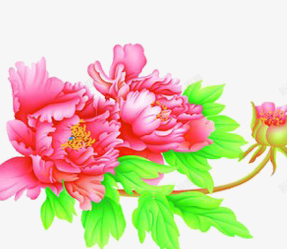 牡丹花开png免抠素材_新图网 https://ixintu.com 工笔画 牡丹花 粉红色 雍容华贵