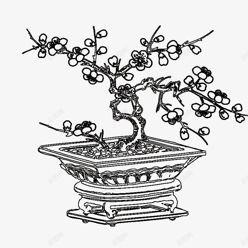 梅花盆景简笔画png免抠素材_新图网 https://ixintu.com 手绘盆景 梅花 梅花描边 梅花盆景简笔画 梅花简笔画 盆景 盆景观赏 花卉艺术
