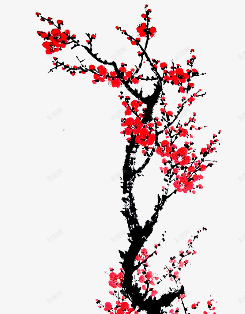 绘画梅花插画png免抠素材_新图网 https://ixintu.com 插画 梅花 绘画 设计