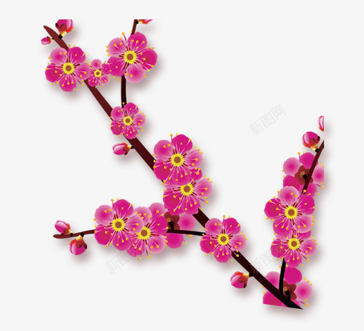 绘画梅花png免抠素材_新图网 https://ixintu.com 手绘梅花 梅花 红色