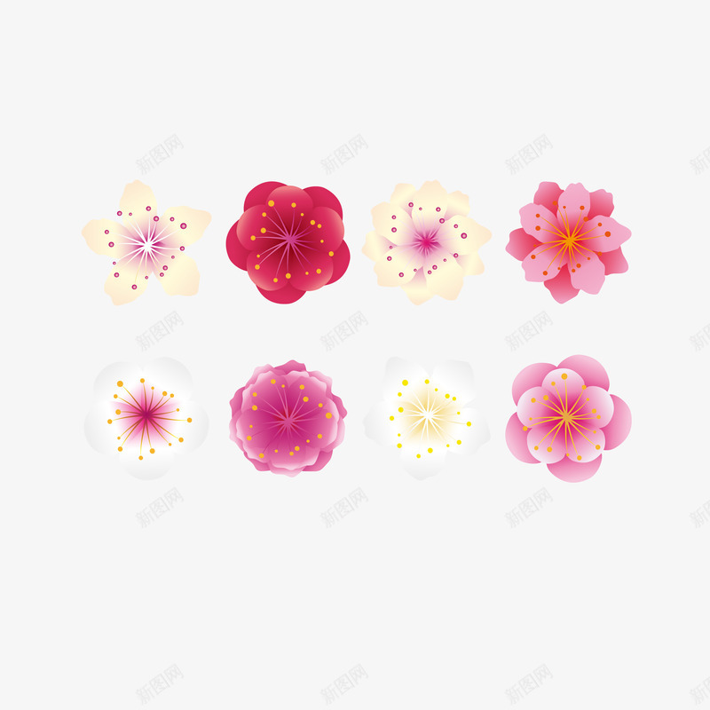 卡通彩色腊梅花朵矢量图ai免抠素材_新图网 https://ixintu.com 卡通 彩色 梅花 植物 矢量图 腊梅 腊梅花图 花 花朵 花瓣 花蕊 蜡梅