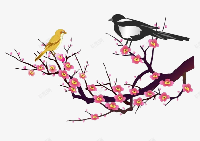 梅花上的鸟儿png免抠素材_新图网 https://ixintu.com 梅花 梅花瓣 矢量图梅花 鸟儿