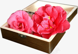 粉红色花朵盒子素材